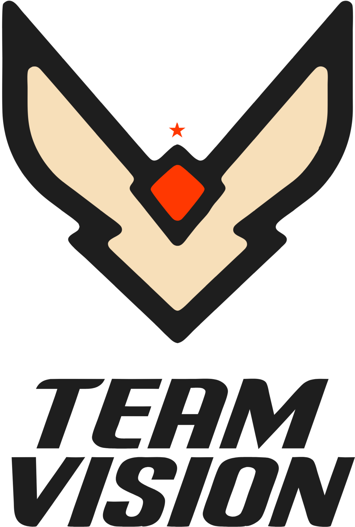 Team Vision